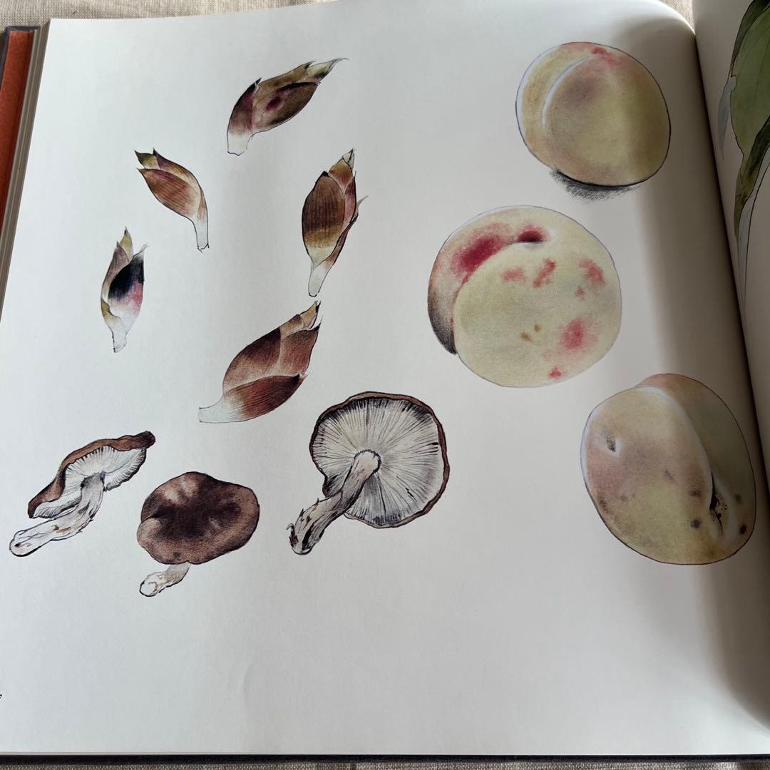 志村立美画集　かんざし　志村立美　大日本絵画巧芸美術株式会社
