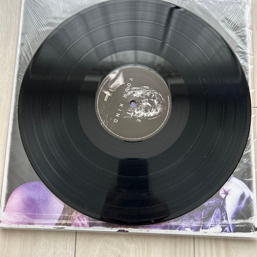 Slipknot WE ARE NOT YOUR KIND レコード