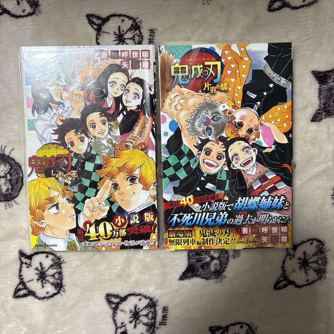 鬼滅の刃 全巻　特装版　小説