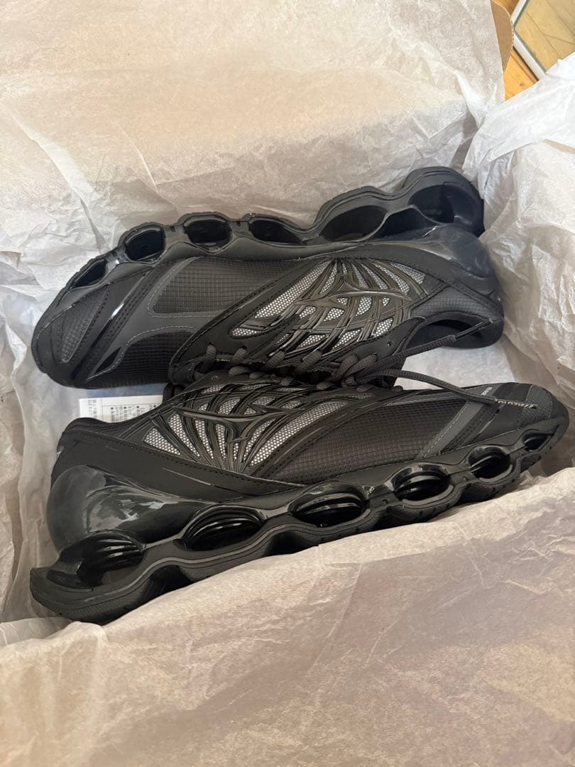 【新品未使用】MIZUNO WAVE PROPHECY GTX 29.0