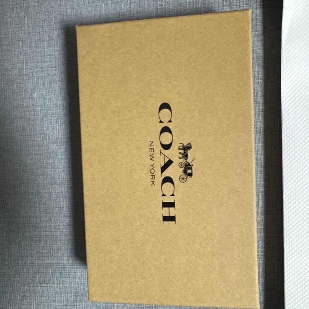 COACHバックル 黒レザーベルト