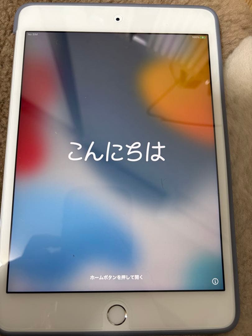 iPad mini4 128gb シルバー WiFi cellular 付属品有