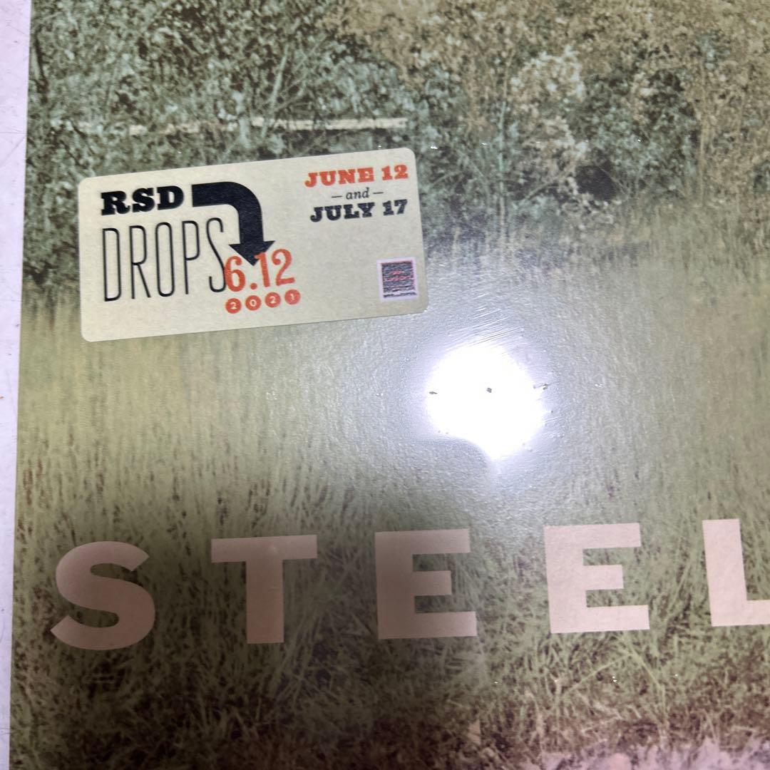 スティーリーダン／2LP 180g／steely dan／未開封・新品