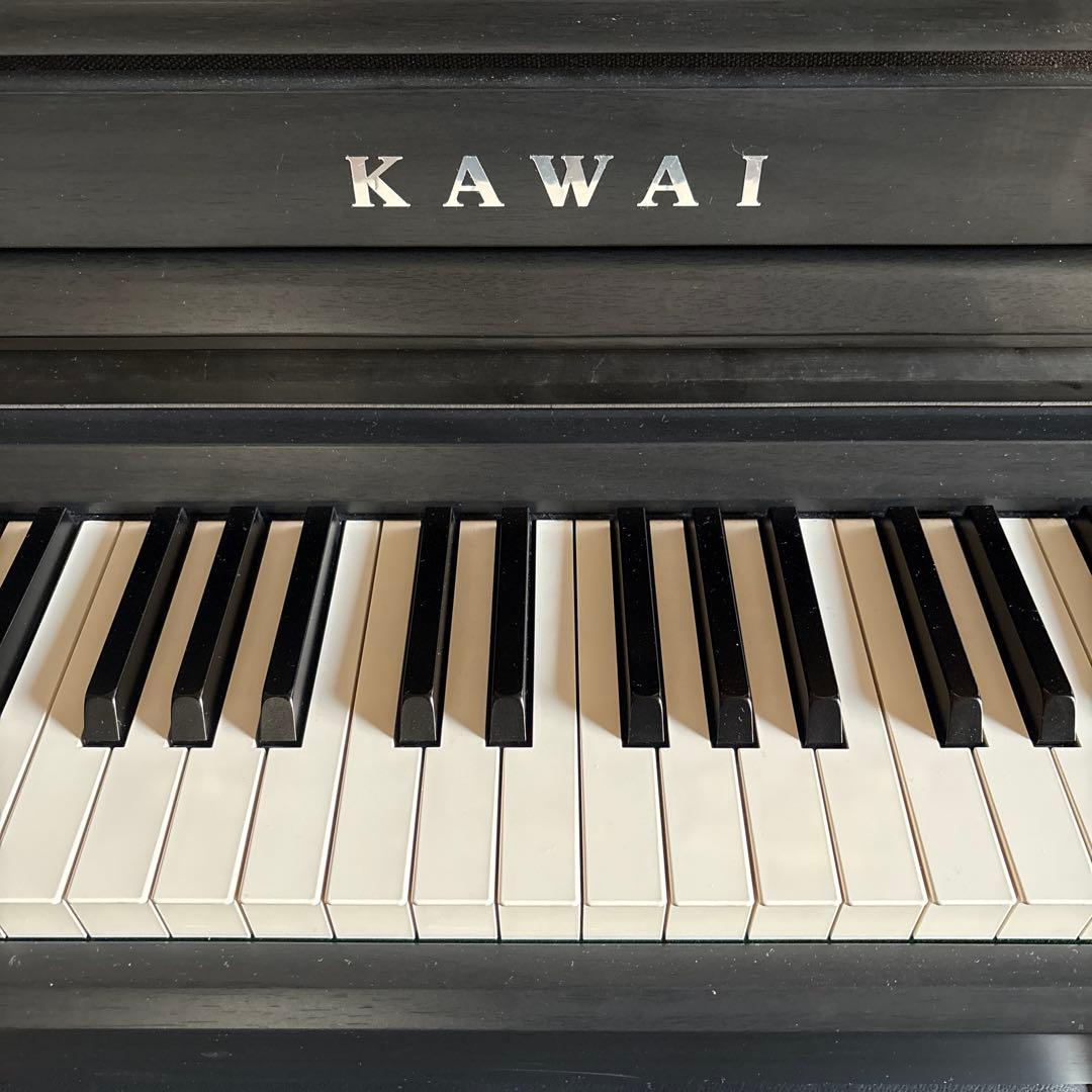 Lui55　KAWAI SCA401 MB