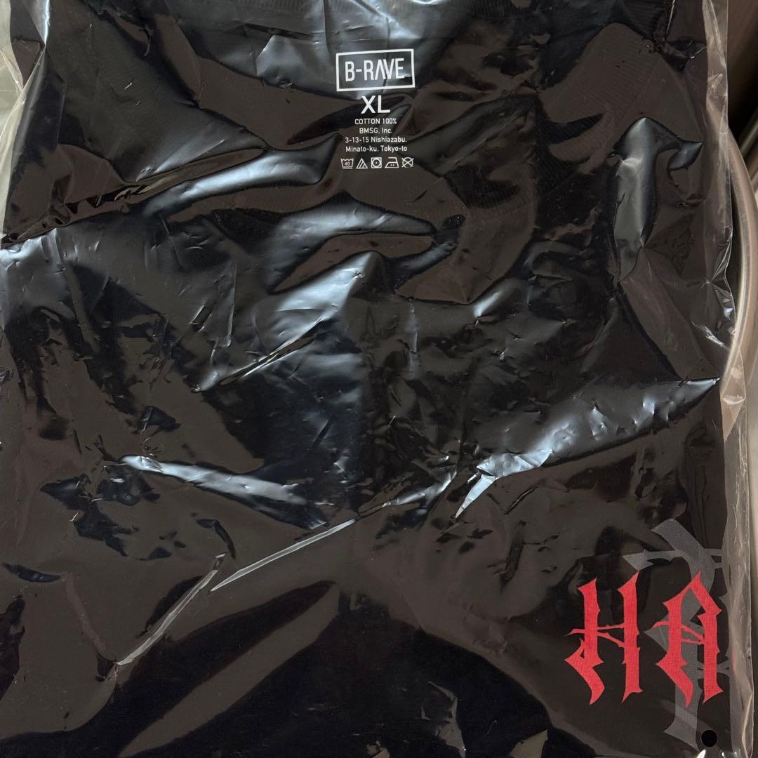 HANA ロゴTシャツ XLサイズ