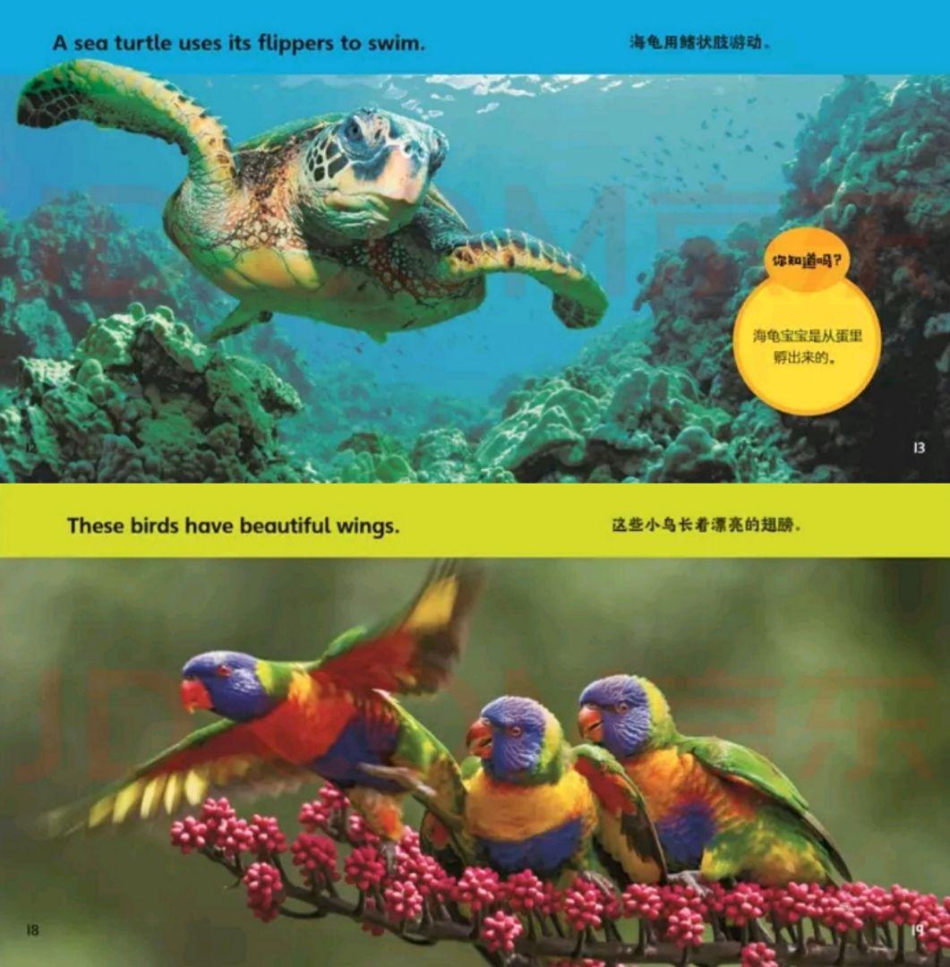 National Geographic Kids幼児版（CD付き）