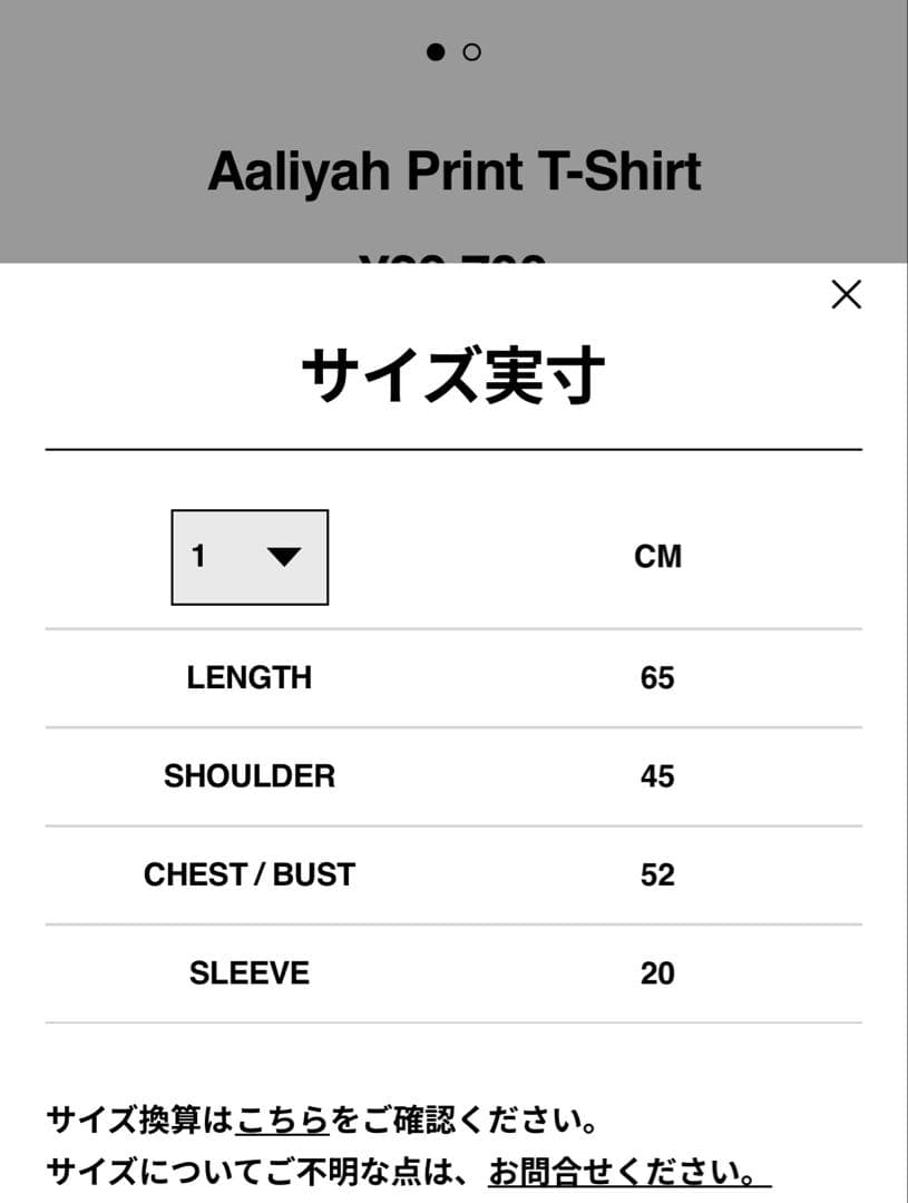 白1 sacai Aaliyah Print T-Shirt 野村訓市 Tシャツ