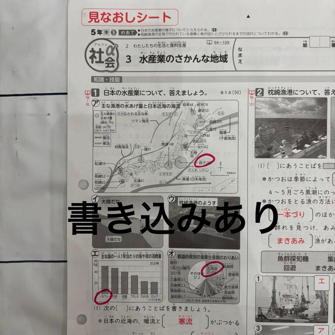 カラーテスト　見なおしシート　社会　5年　東京書籍　新学社　アルファ