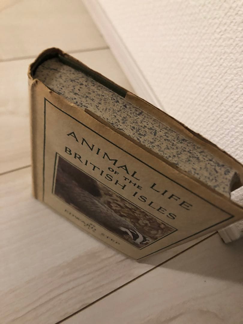 希少　洋書　1942年　古書　Animal Life Of The