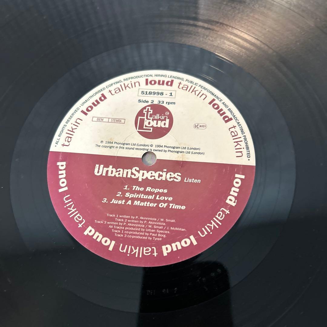 洋楽 Urban Species Listen