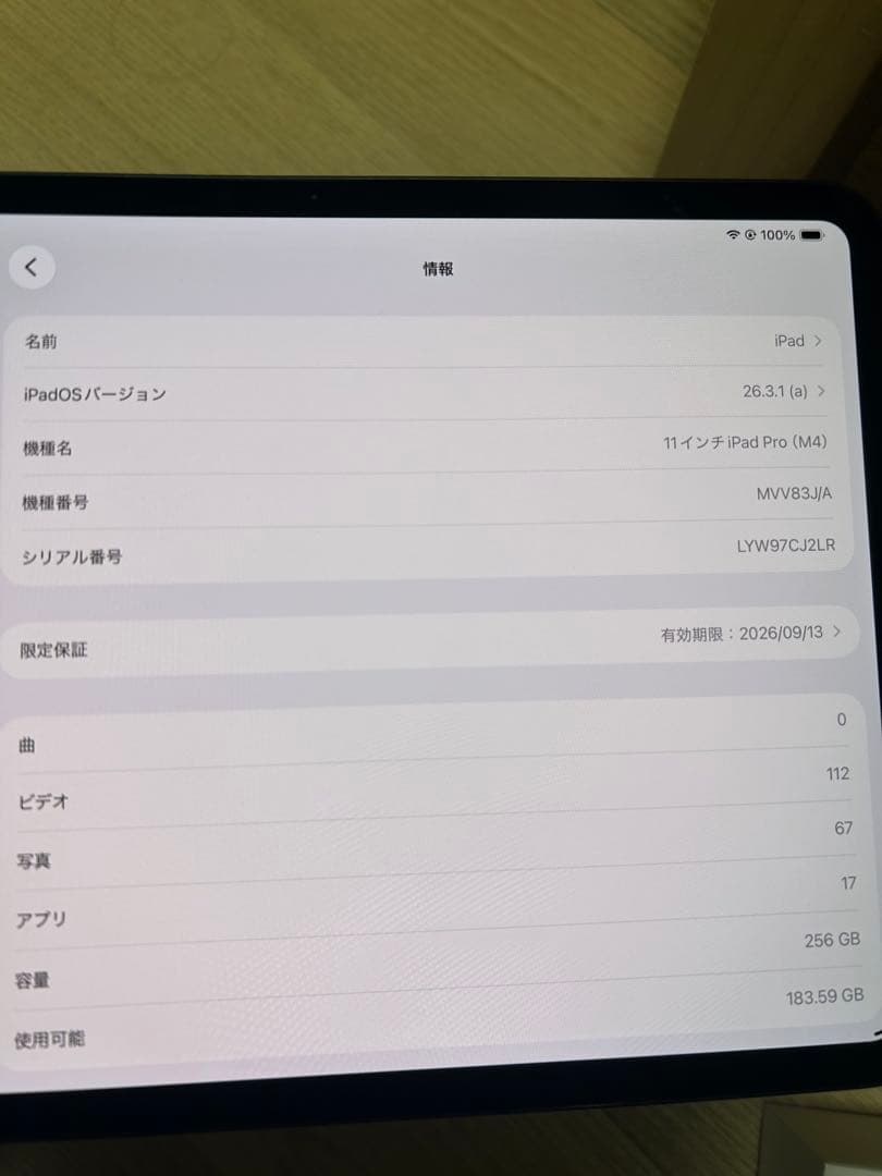 iPad Pro 11インチ (m4)256GB