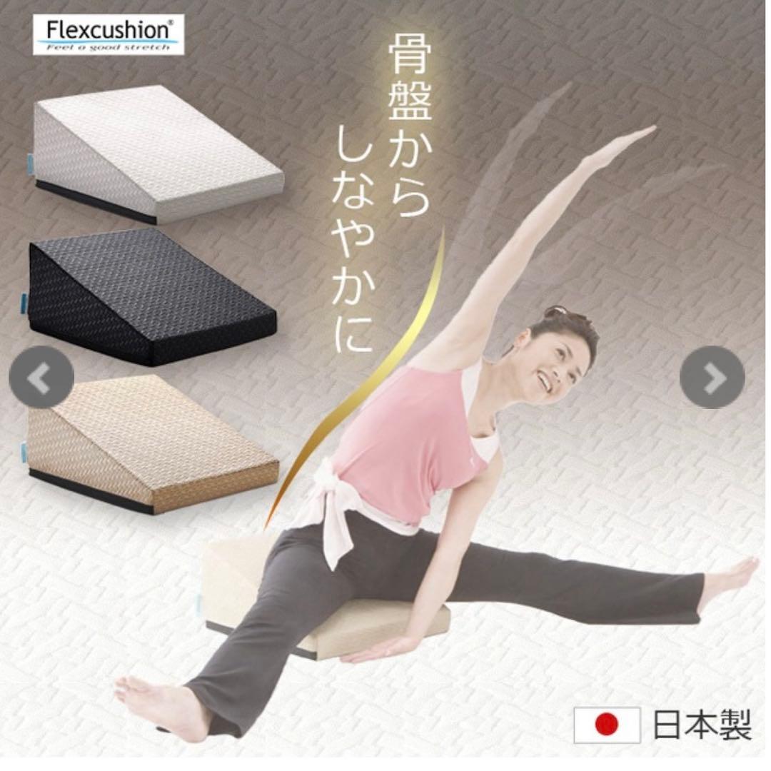 【美品】サンテプラス・フレックスクッション（Flex Cushion）