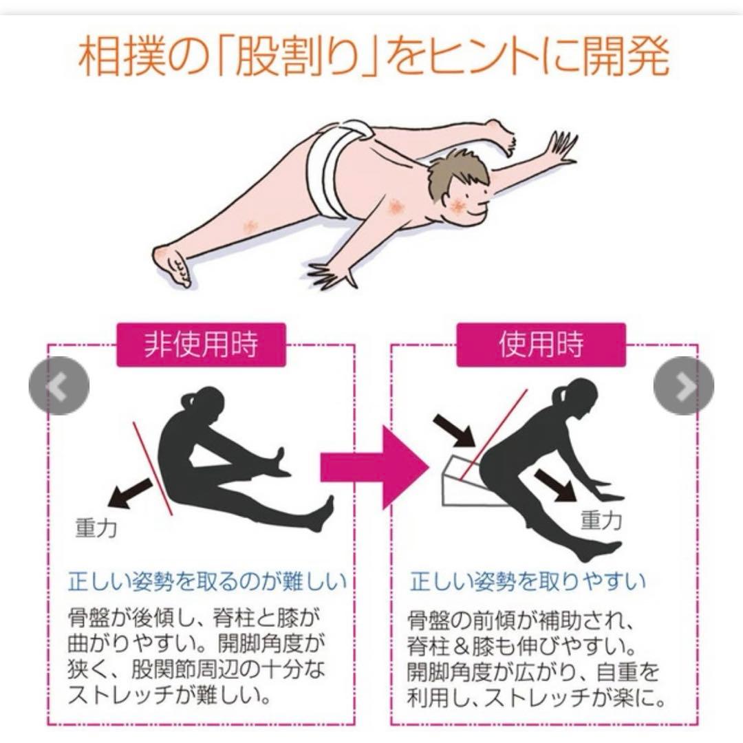 【美品】サンテプラス・フレックスクッション（Flex Cushion）