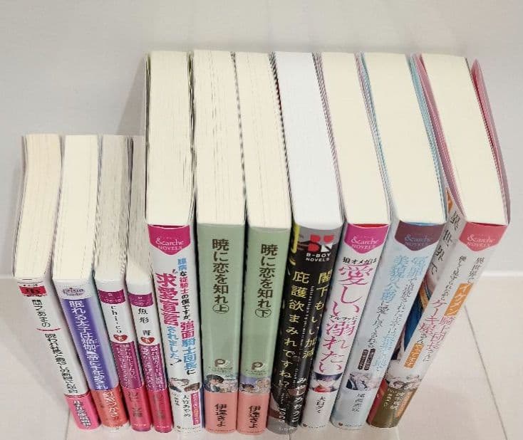【2025年】★BL小説 11冊まとめ売り