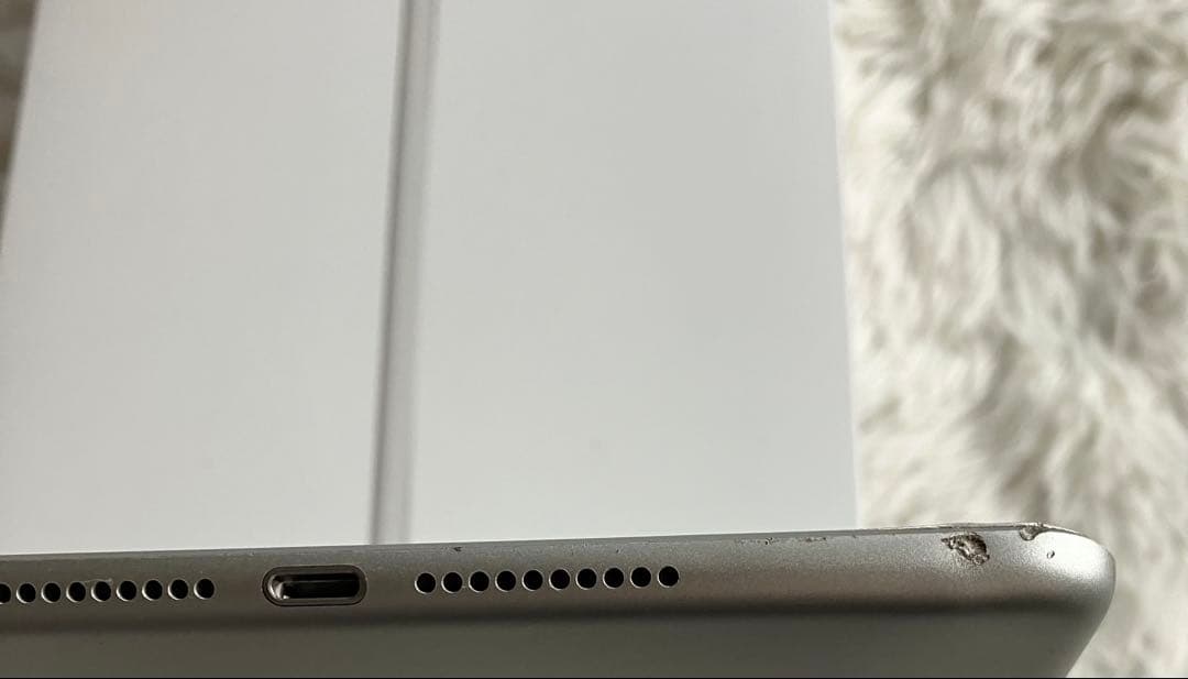 【1台限定価格】iPad mini5 64GB SIMフリー 【すぐ発送】