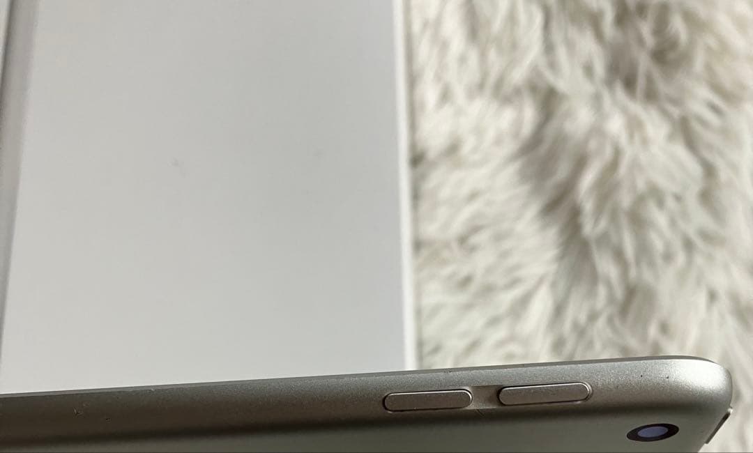 【1台限定価格】iPad mini5 64GB SIMフリー 【すぐ発送】
