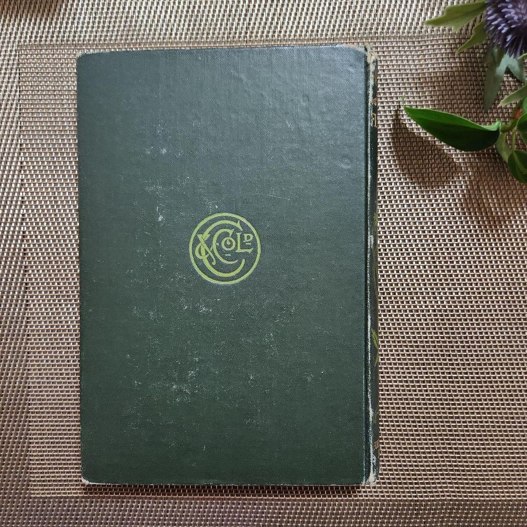 植物図鑑　洋書　古書　アンティーク　Familar Wild Flowers⑤