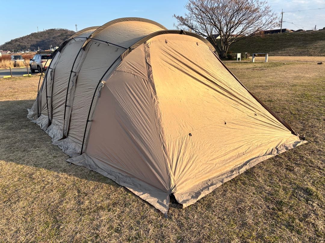 サバティカル　アルニカ　SABBATICAL