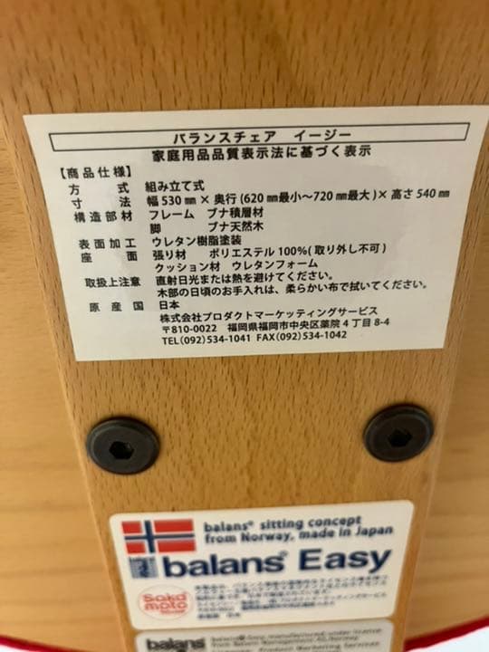 バランスチェア イージー　サカモトハウス