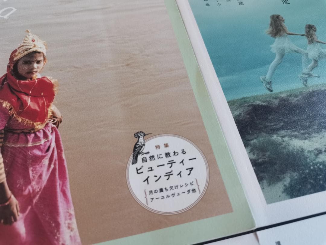 雑誌BIRD☆全8号セット