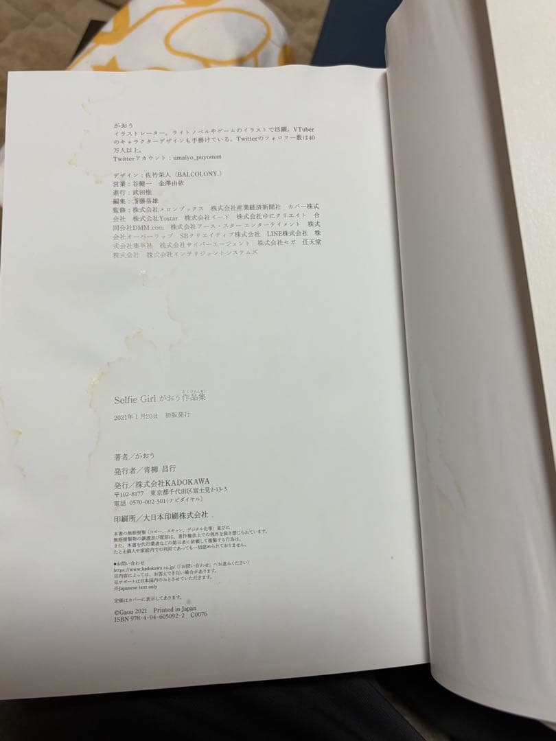 がおう　画集　初版　クリアファイルセット　レア