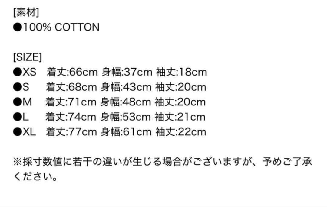 Polo Ralph Lauren スリムフィットTシャツ M