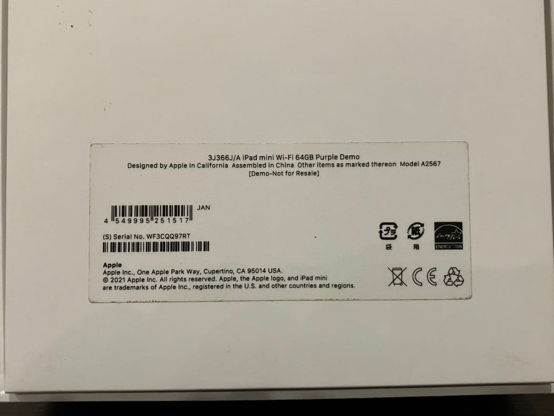 iPad本体 ipad mini6