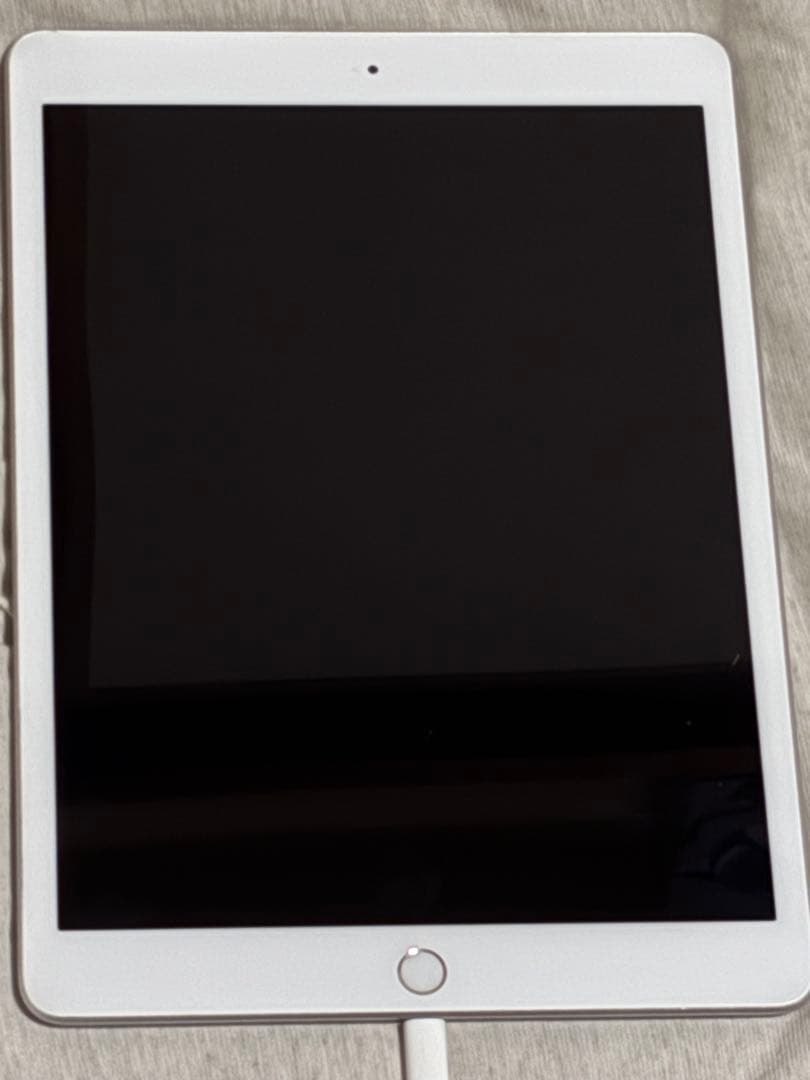 Apple iPad 第七世代　32gb wifiモデル　完動品 充電器付き