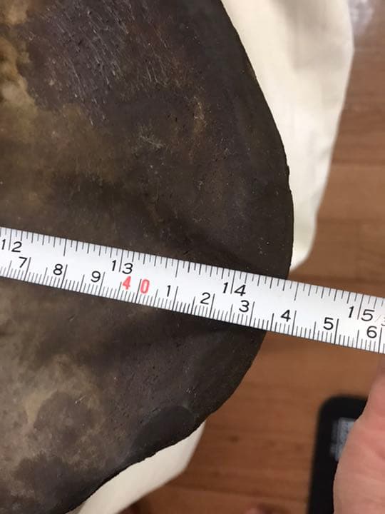 盆栽鉢　ヒラ鉢①時代大型盆栽鉢詳細不明希少山野草盆栽苔盆栽鉢南蛮鉢葉形盆栽鉢水石