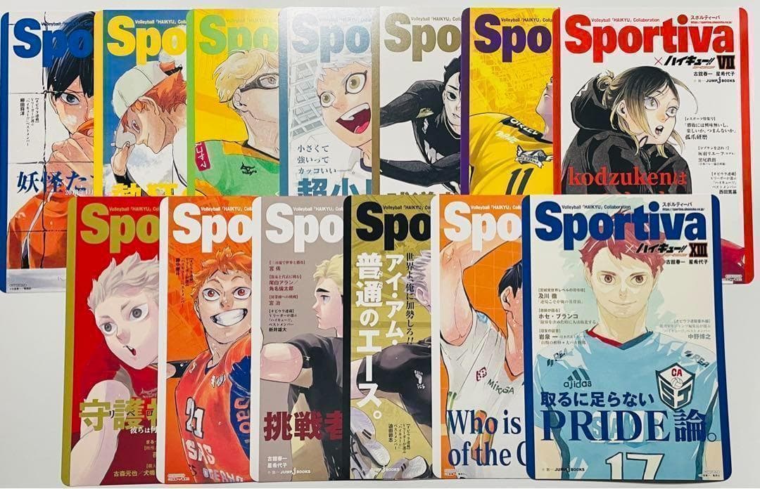 ハイキュー ショーセツバン ビジュアルボード 特典 全巻セット アニメイト