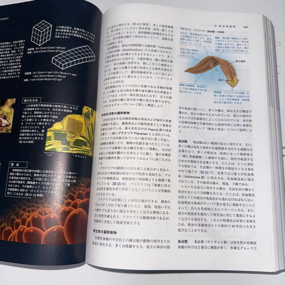 キャンベル生物学