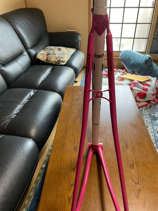 a*n様 ナカガワカーボンハイブリッド Nakagawa cycles hybr