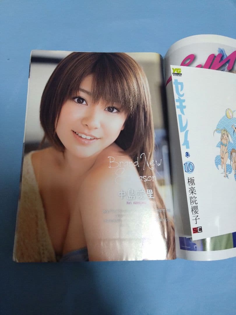 ヤングガンガン 2010年 中島愛里 清水ゆう子