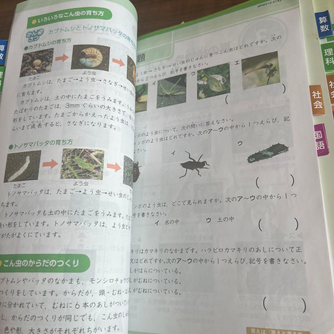 小学3年生　Ｚ会エブリスタディ(ハイレベル)2023版　7月〜はほとんど未使用