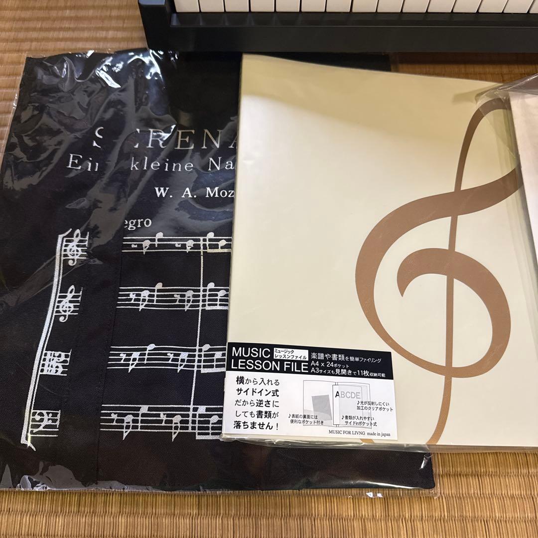 【新品未使用】KORG MICROPIANO マイクロピアノ ミニ鍵盤61鍵