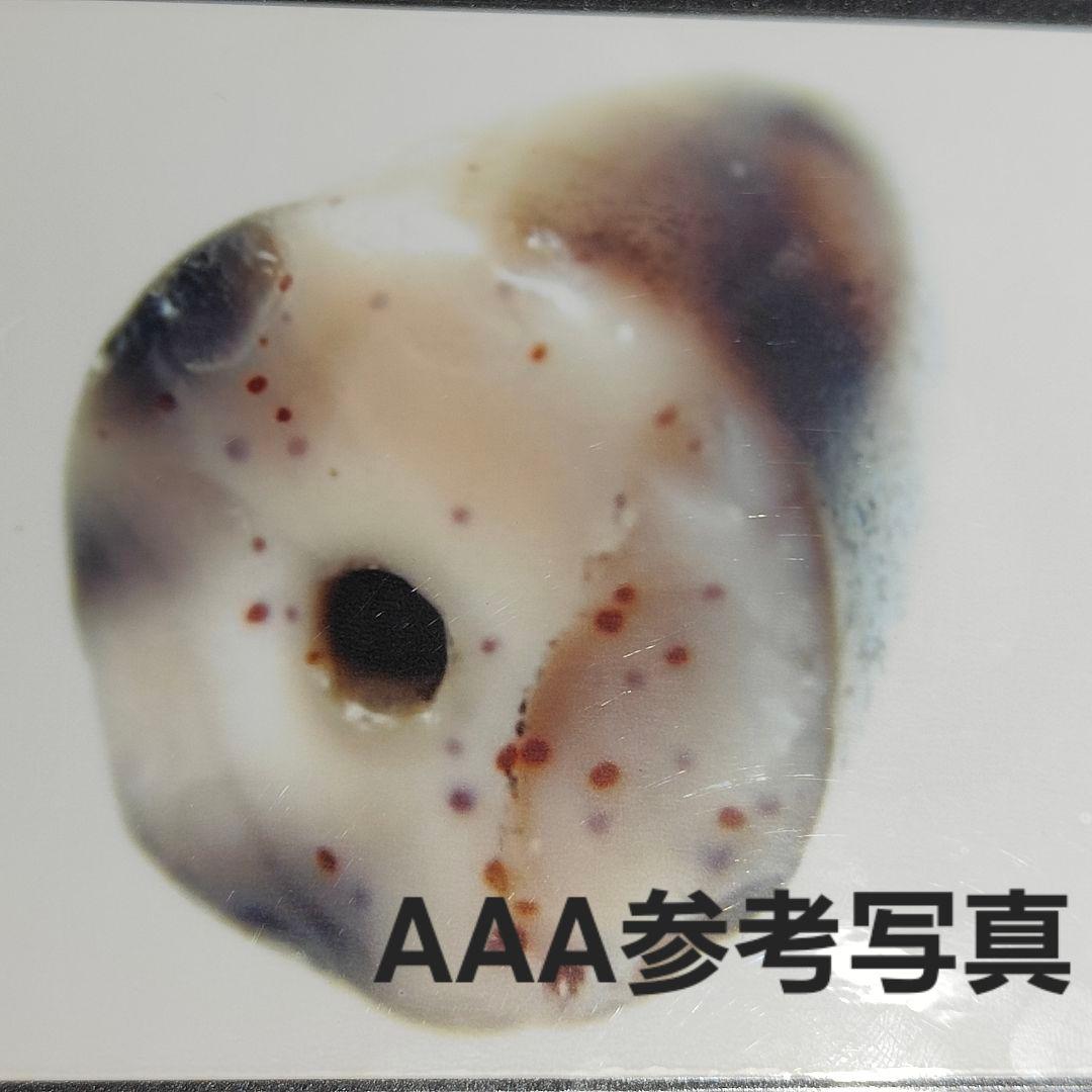 4 老礦天珠　薬師珠　天珠　天然石　風水　開運　御守り　ブレスレット　ネックレス
