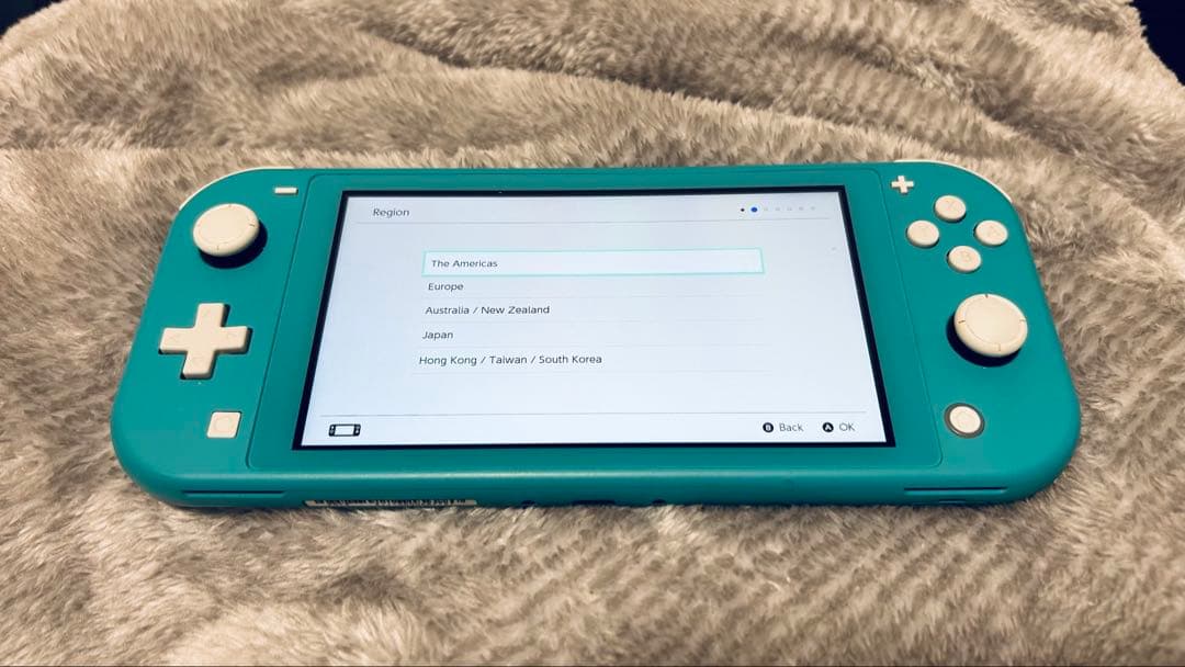 【金曜日まで】Nintendo Switch Lite [SDカード付]