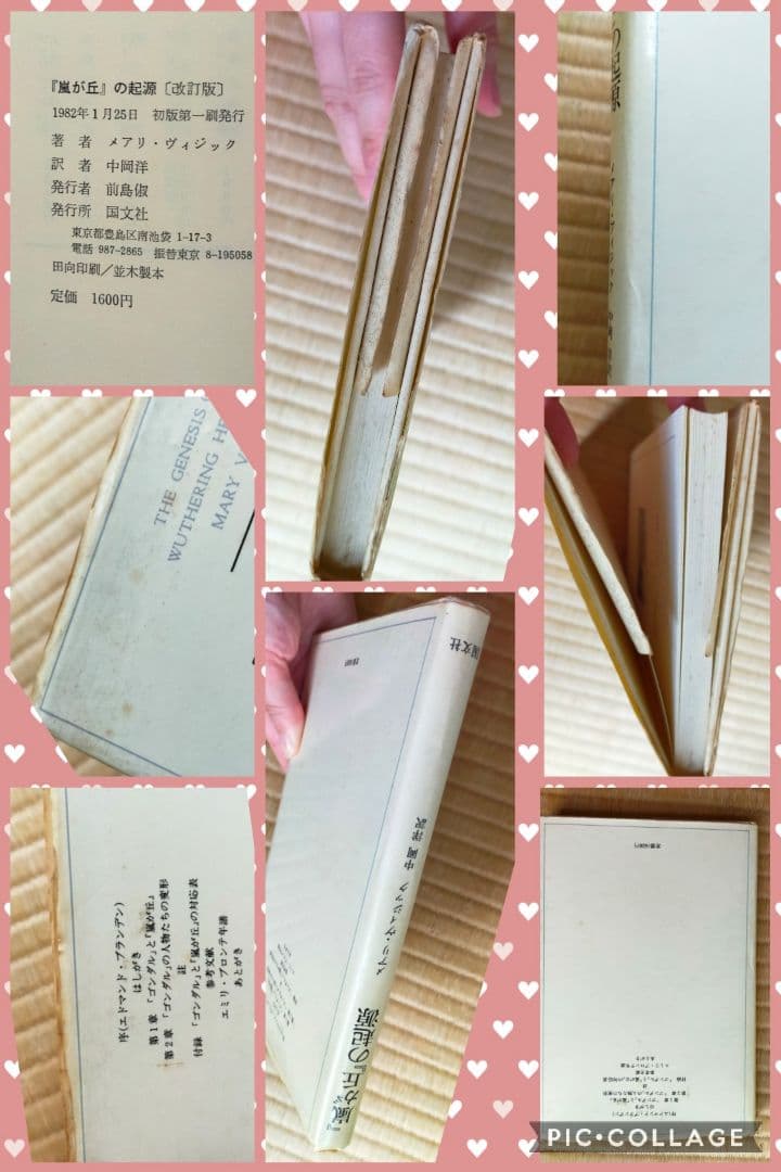 ★　希少価値絶版本文学的観点から読み解くエミリ・ブロンテと嵐が丘　大学文学研究