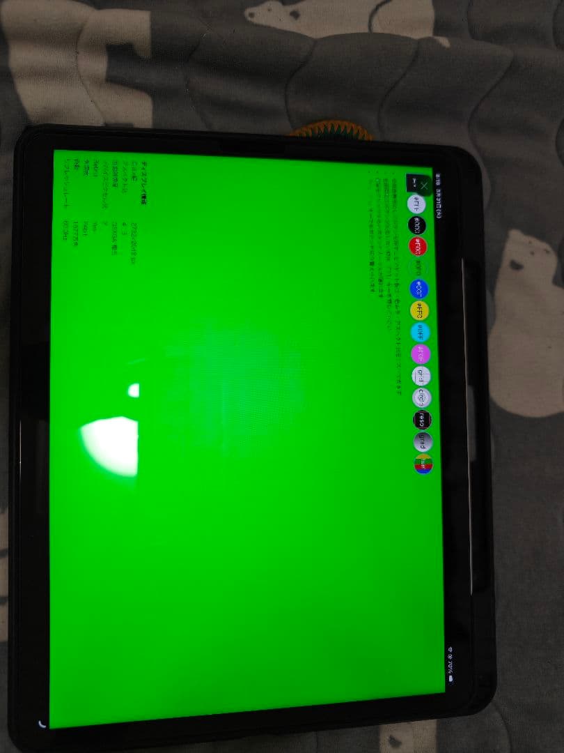 iPad pro 第5世代 12.9インチ シルバー+applePencil