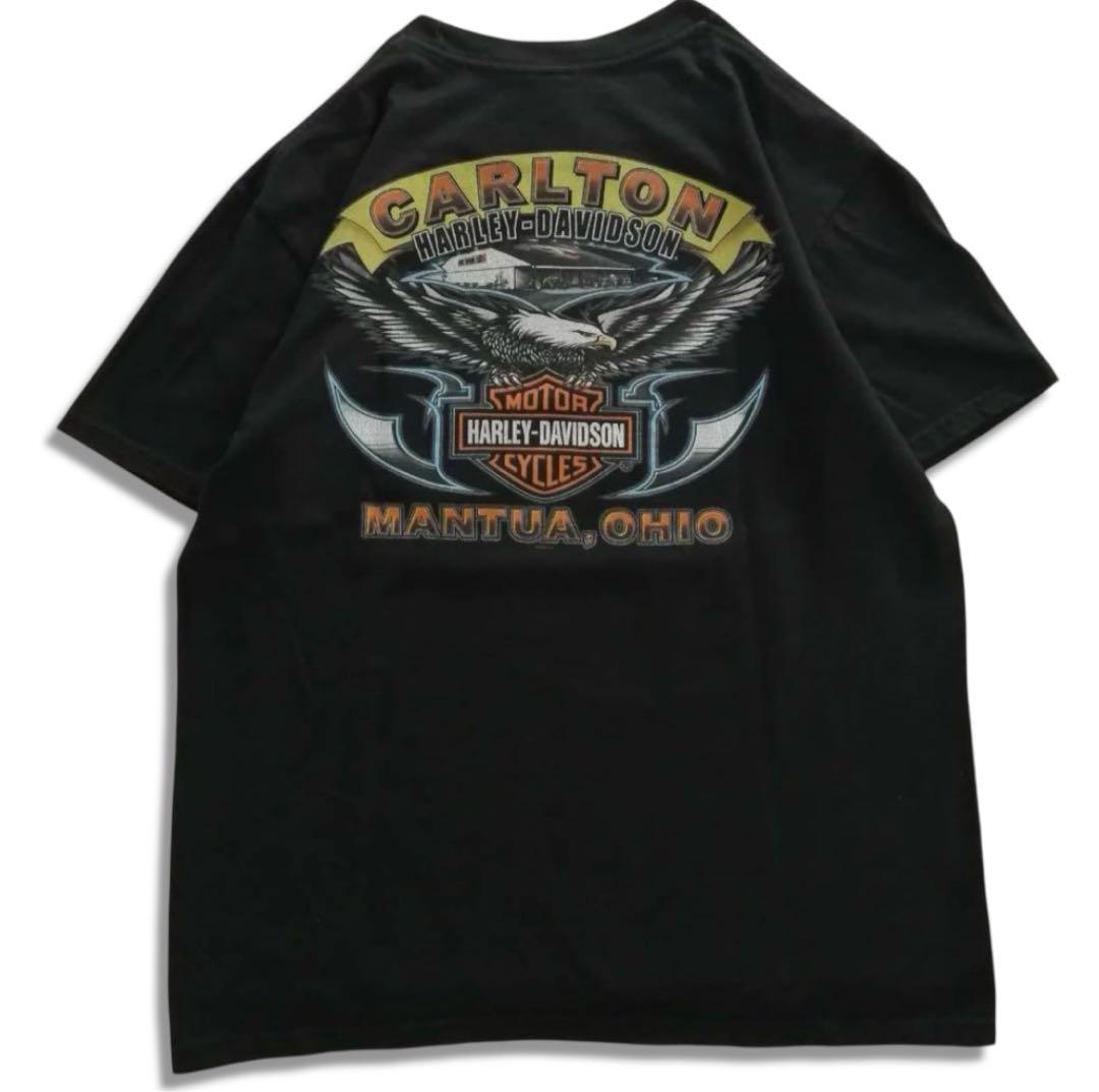 ハーレーダビッドソン 両面ビッグロゴ プリントTシャツ 炎 鷲 L ブラック