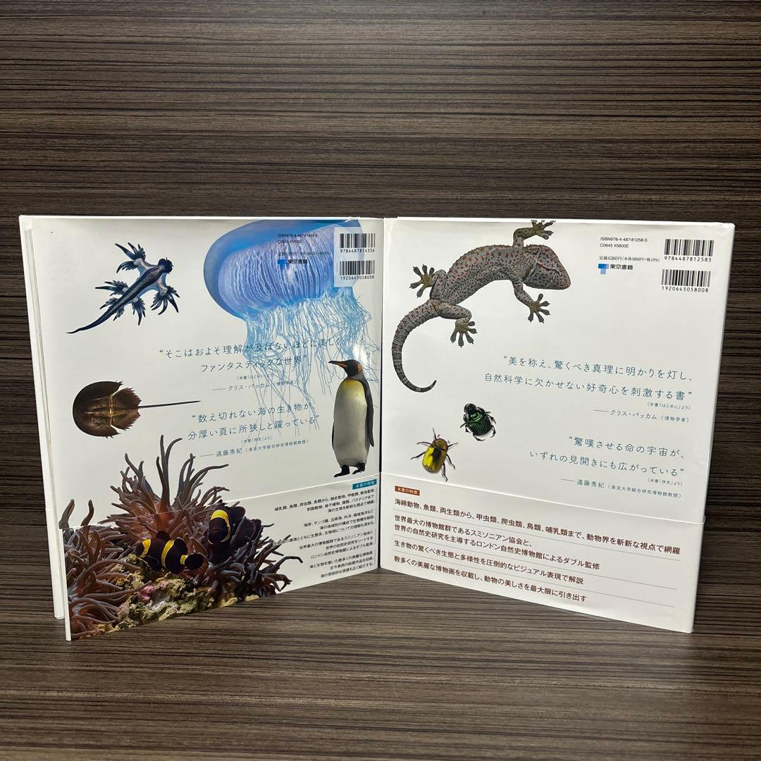 はるかいろ