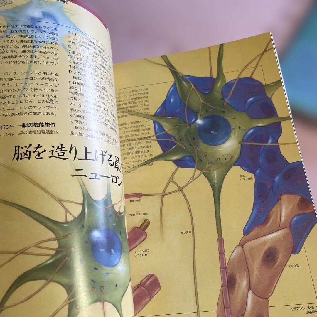♦️♦️♦️♦️驚異の小宇宙・人体Ⅱ♦️脳と心 ♦️1-6巻➕別巻♦️合計7巻セットお得