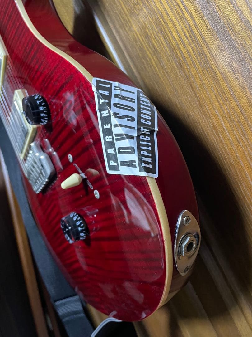 PRS SE カスタム