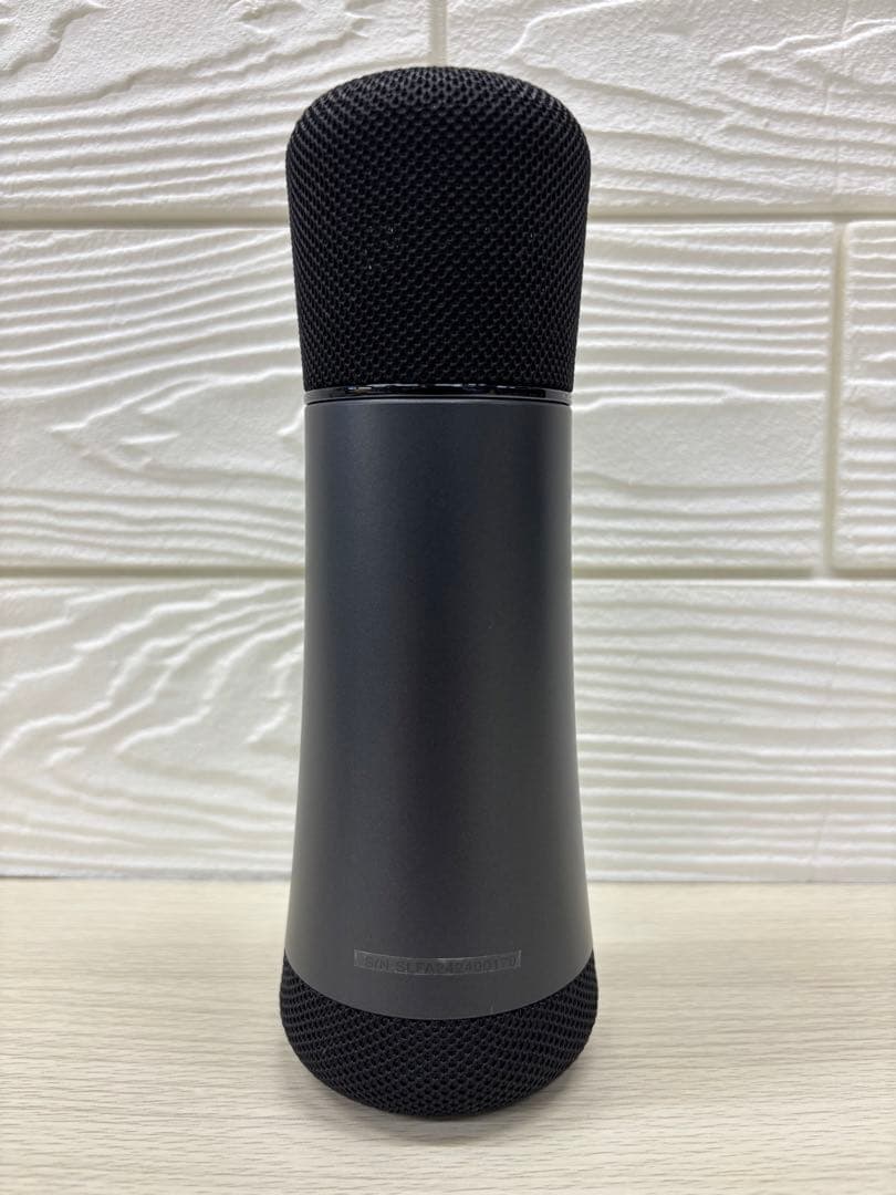 PHILIPS DLM9317C カラオケ用Bluetooth ワイヤレスマイク
