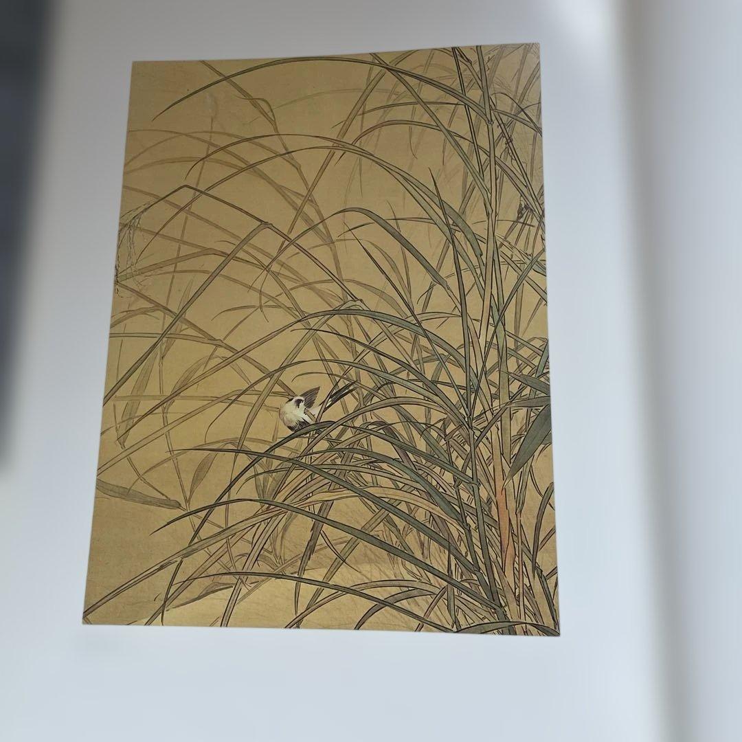 京都芸大卒業制作日本画集　超ワイド版！　限定本！　日本画聚英　京都書院発行