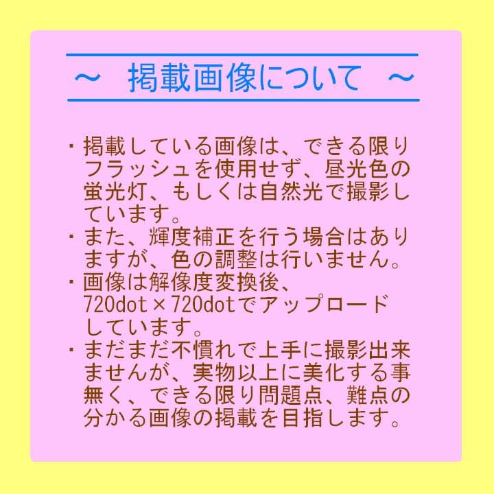 【PC-9801対応】PK-X486S50 CPUアクセラレーター「ジャンク①」