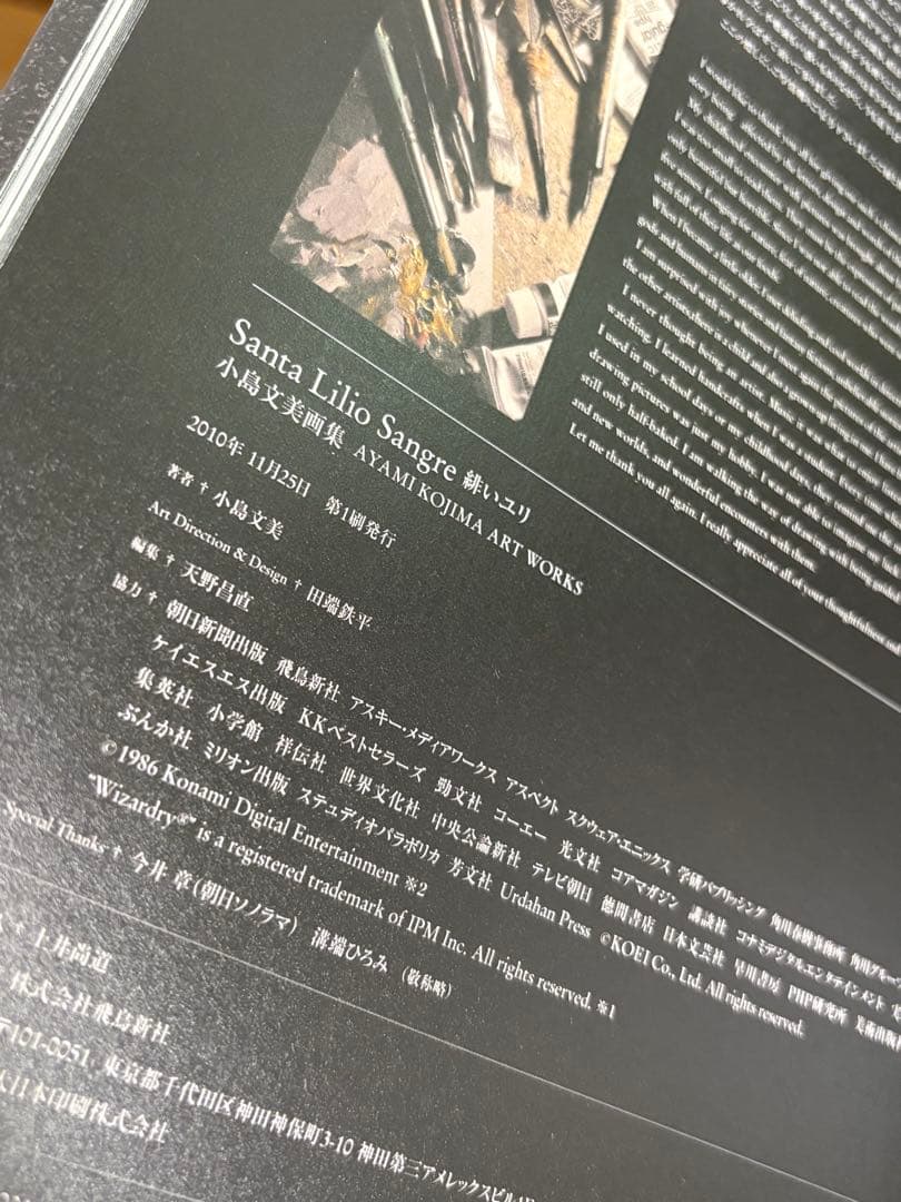 小島文美 画集【緋いユリ】Santa Lilio Sangre