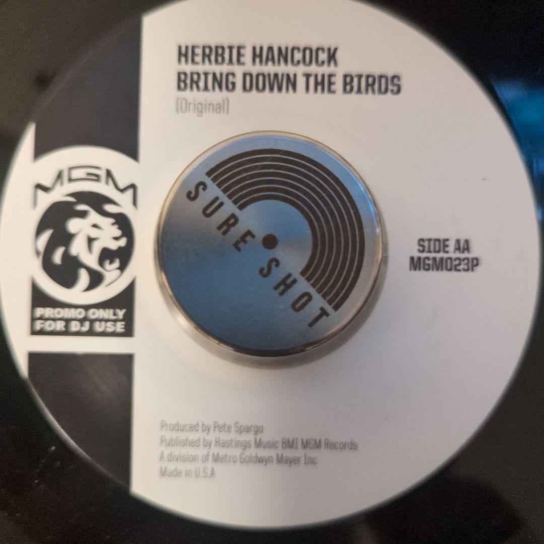 洋楽 Herbie Hancock Bring Down The Birds