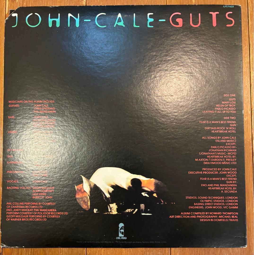 JOHN CALE 『GUTS 』LP アナログ盤