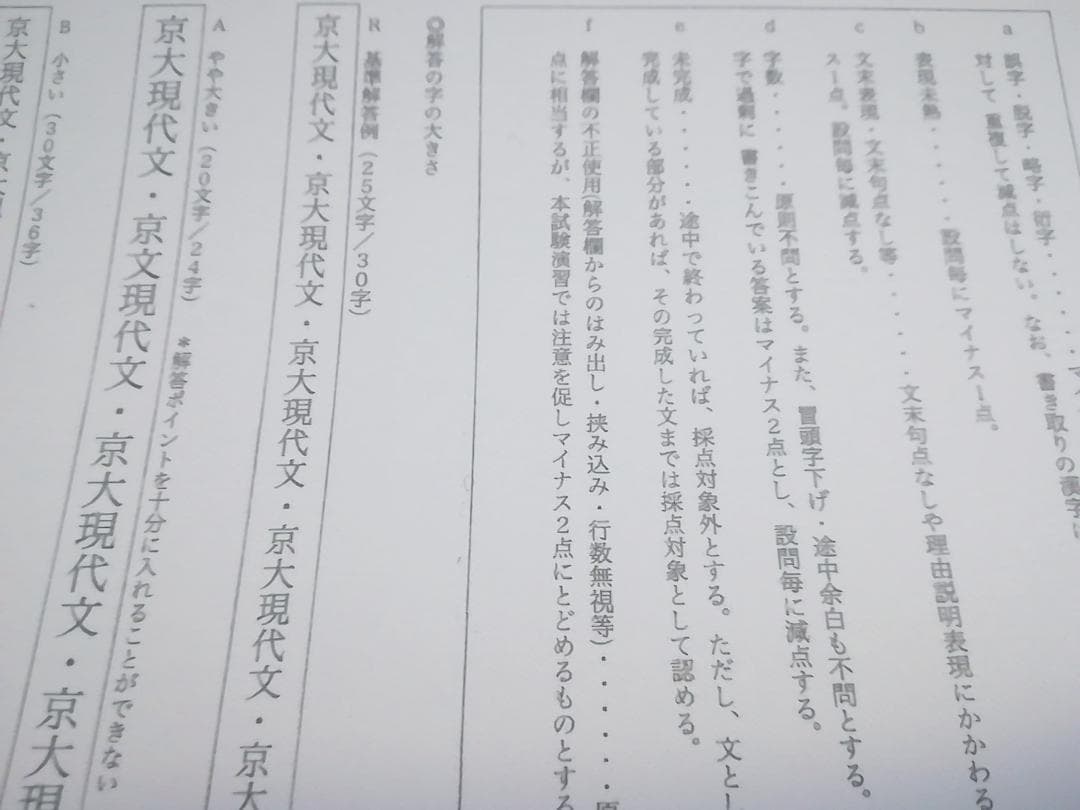 最新年対応　駿台　松本孝子先生による京大現代文通年講義プリント集　河合塾　鉄緑会